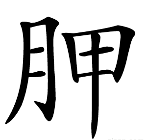 胛